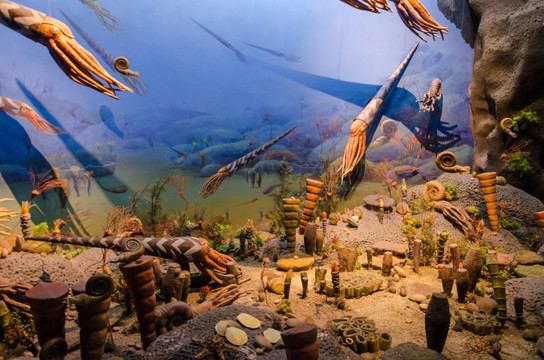 远古海底世界 远古海洋生物