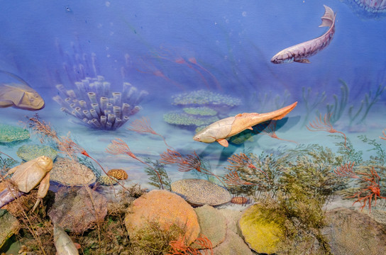 史前生物 远古海底世界