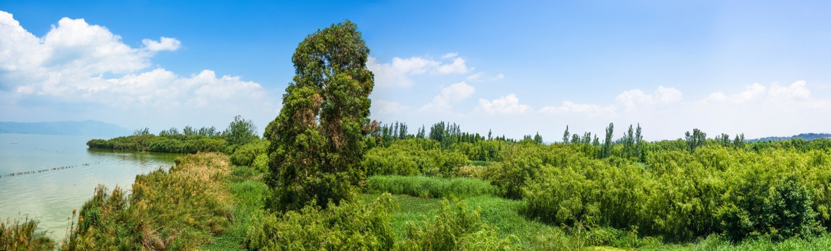 捞鱼河湿地公园