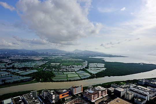 香港 香港湿地公园