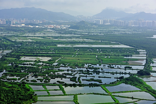 香港新界 香港湿地公园