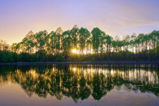 夕阳下的湖泊树林
