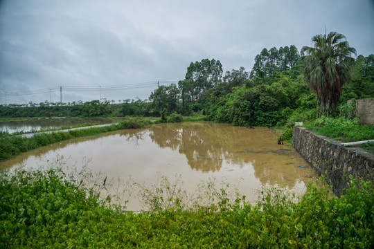 暴雨过后