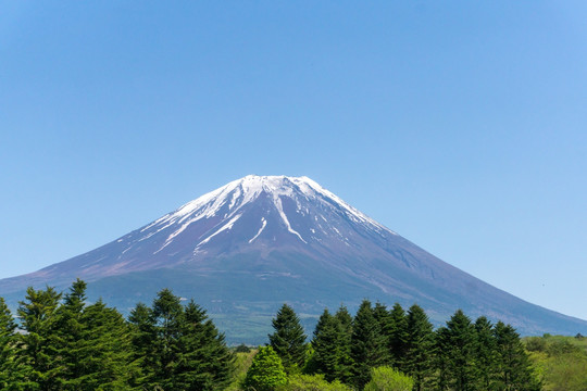 富士山