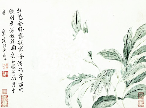 手繪花卉