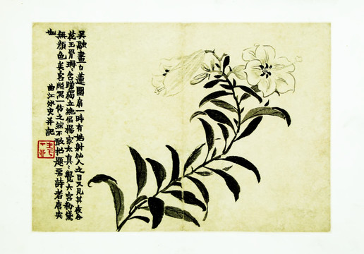國(guó)畫(huà)花鳥(niǎo)