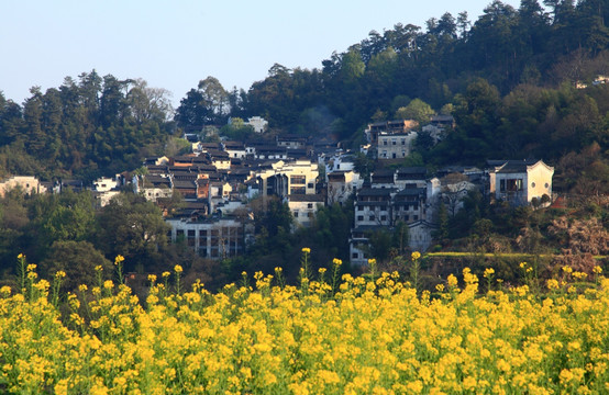 婺源 篁岭天街全景