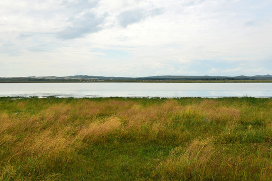 湖岸