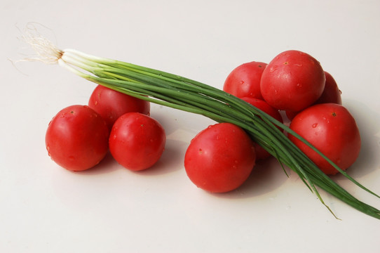 西红柿与小葱