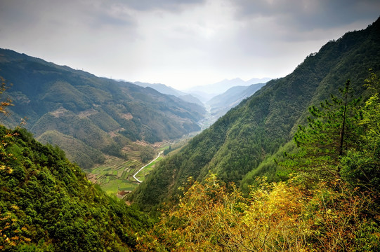 遂昌神龙谷森林公园全景