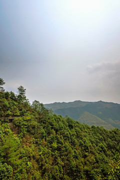 遂昌神龙谷高山森林