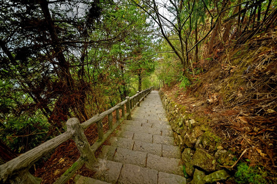 遂昌南尖岩石阶山路