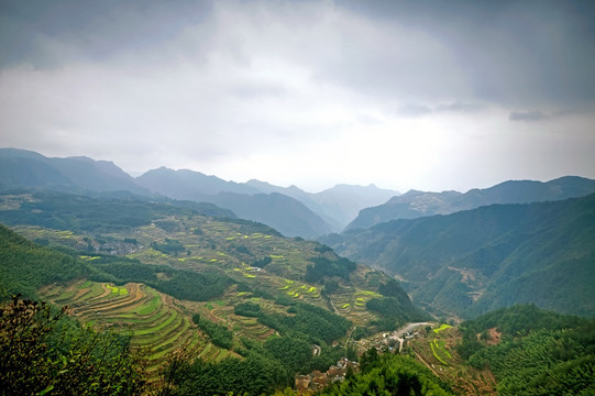 遂昌南尖岩景区梯田全景