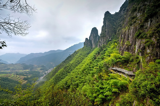 遂昌南尖岩三峰插云梯田全景