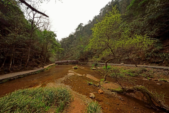 遂昌神龙谷溪流