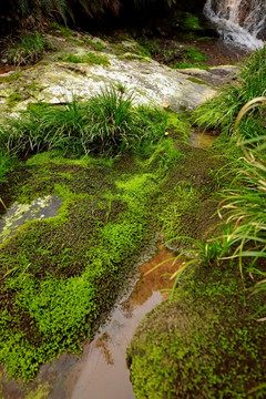 山涧溪水青苔地面背景素材