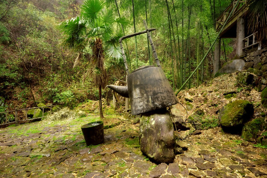 遂昌南尖岩竹海烹茶雕塑