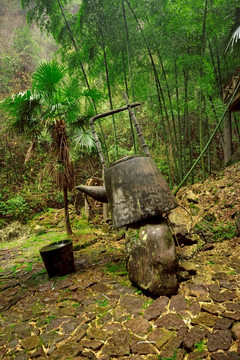 遂昌南尖岩竹海烹茶雕塑