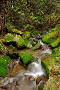 山涧溪流青苔慢速摄影