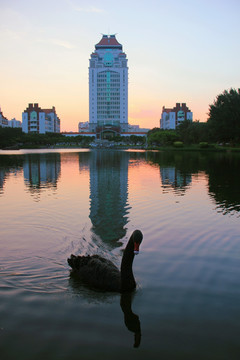 厦门大学芙蓉湖