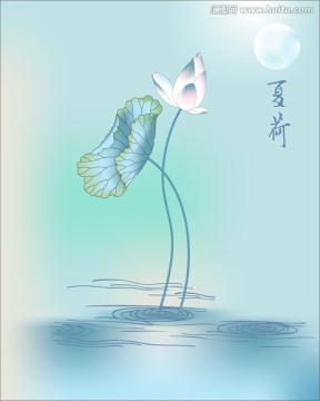矢量荷花 荷塘月色 壁紙