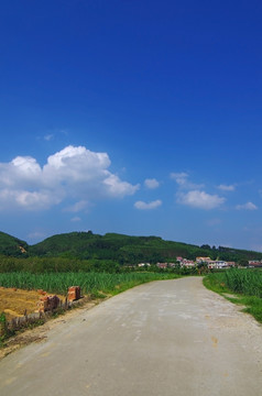 乡村 风景