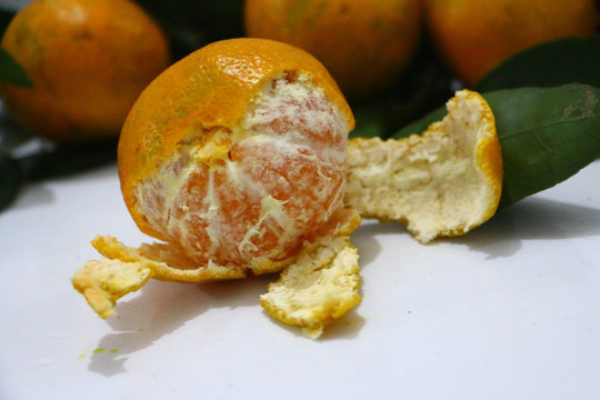 柑橘皮