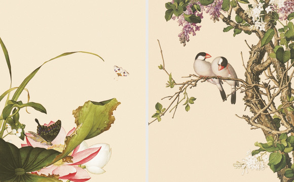 花鳥國畫 郎世寧 組合畫