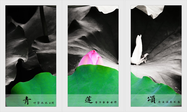 簡約裝飾畫