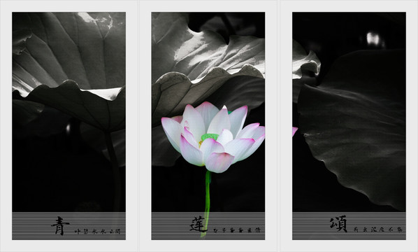 簡(jiǎn)約裝飾畫(huà)