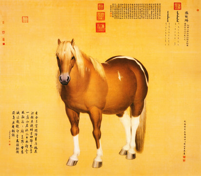 郎世寧 俊馬