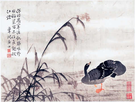 國畫花鳥