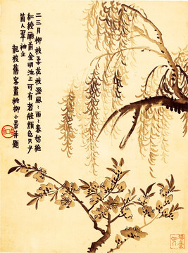國畫花卉