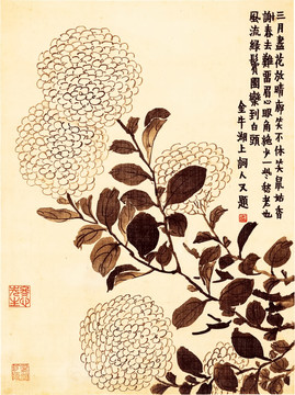 國畫花卉