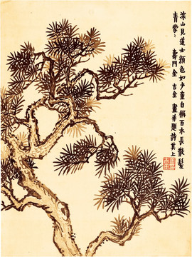 國畫松樹
