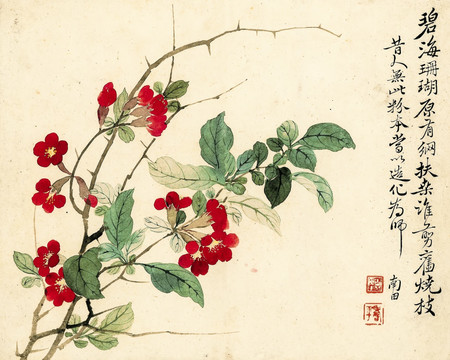 惲壽平 碧海珊瑚