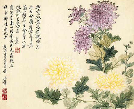 惲壽平 國畫菊花