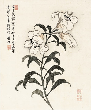 清 楊晉 花鳥(niǎo)十二開(kāi)