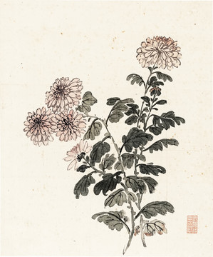 清 楊晉 花鳥(niǎo)十二開(kāi)