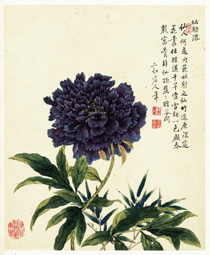 鄒一桂 花卉八開