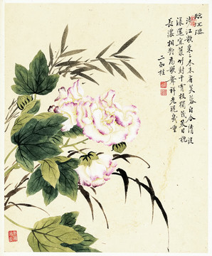 鄒一桂 花卉八開