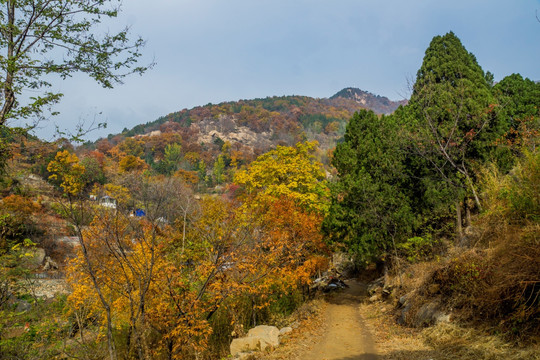 泰山风光