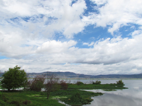 杞麓湖