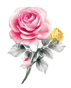粉花之戀