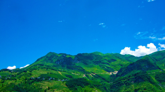 青山 大山