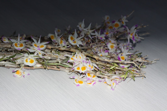紫皮 石斛花