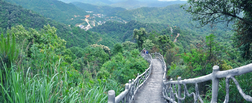 秋枫寨全景