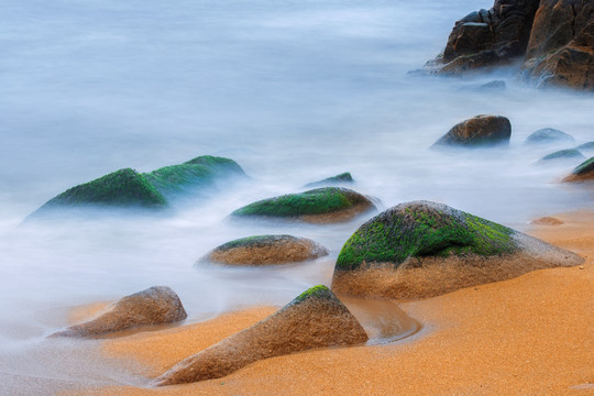 海藻礁石海浪