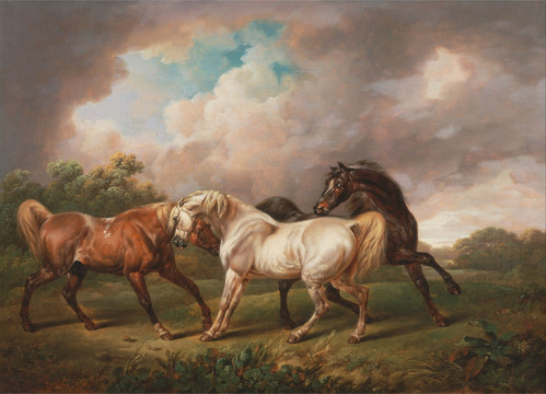 三匹马