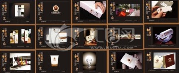房地產(chǎn)樓盤VI提案